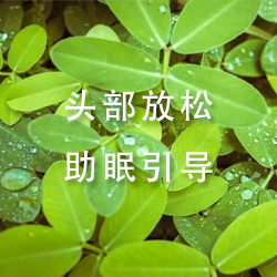 头部放松助眠引导